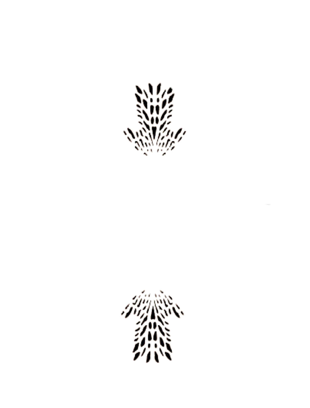 Azalea Set of 2
