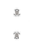 Azalea Set of 2