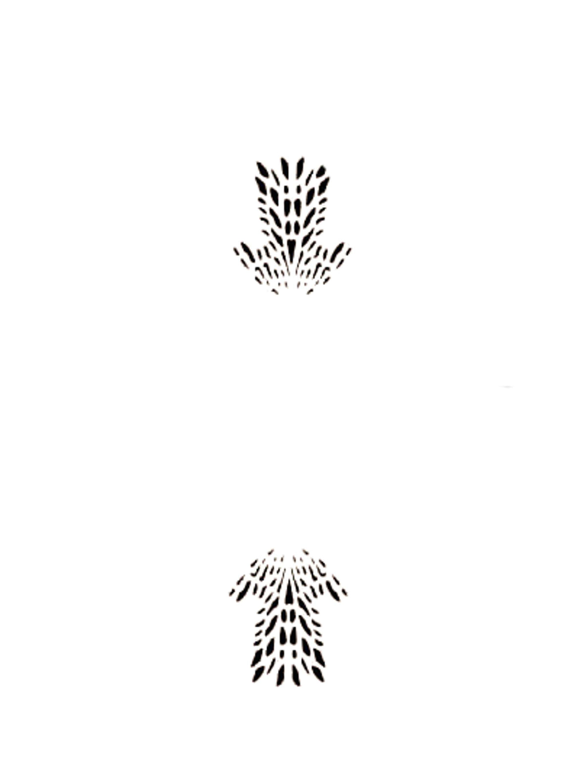 Azalea Set of 2