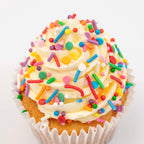 Rainbow Sprinkle Mix (76g)