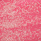 White Pearl Sugar Sprinkles (112g)