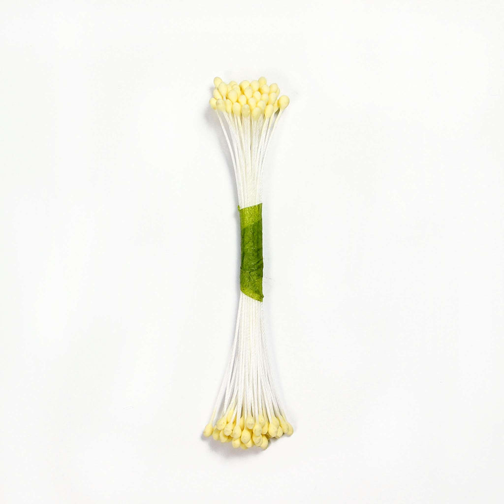 Ivory Plain Stamen Medium