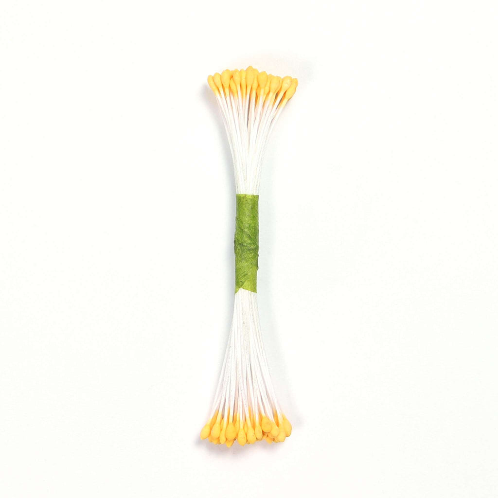 Peach Plain Stamen Medium
