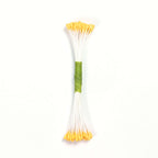 Peach Plain Stamen Medium