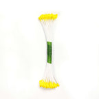Yellow Plain Stamen Medium