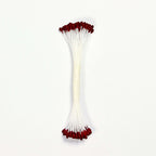Gewone Stamper Groot - Bordeauxrood