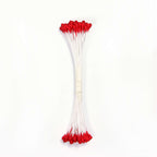 Gewone Stamper Groot - Rood