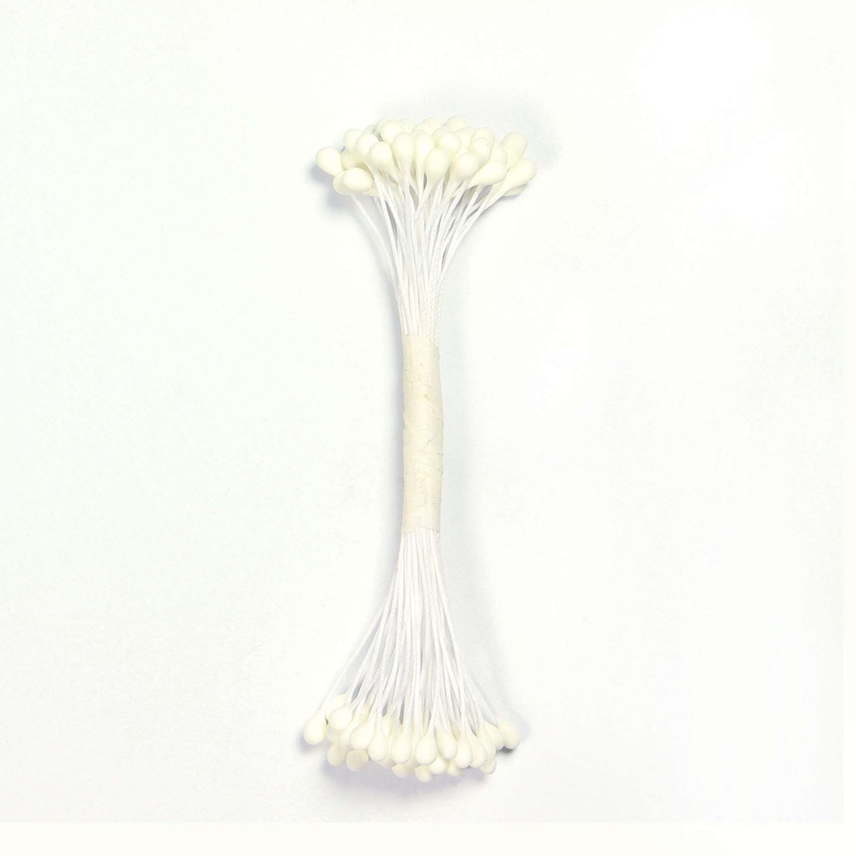 Étamines Simples Grandes - Blanc