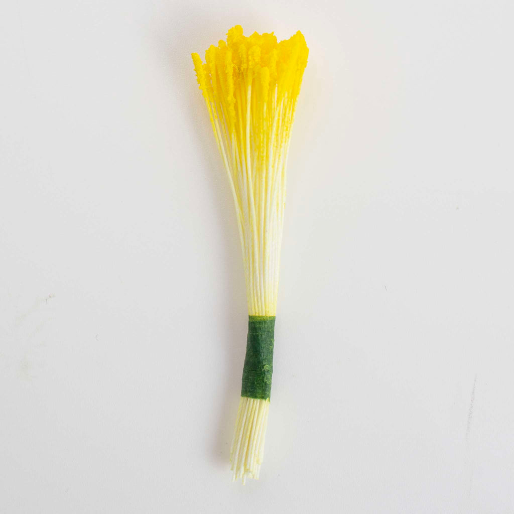 Yellow Lily Stamens Pk/50