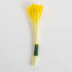 Yellow Lily Stamens Pk/50