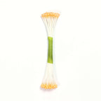 Peach Pearl Stamen Medium