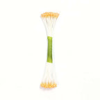 Peach Pearl Stamen Medium