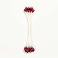 Burgundy Pearl Stamen Large