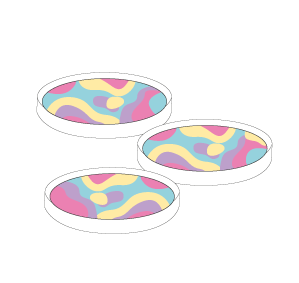Step 5 image