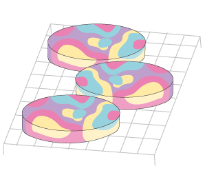 Step 6 image